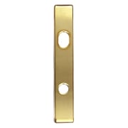 Hinged Patio Door Escutcheon Plate
