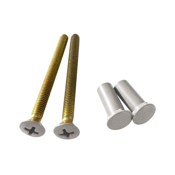 Escutcheon Plate Bolt with Stud
